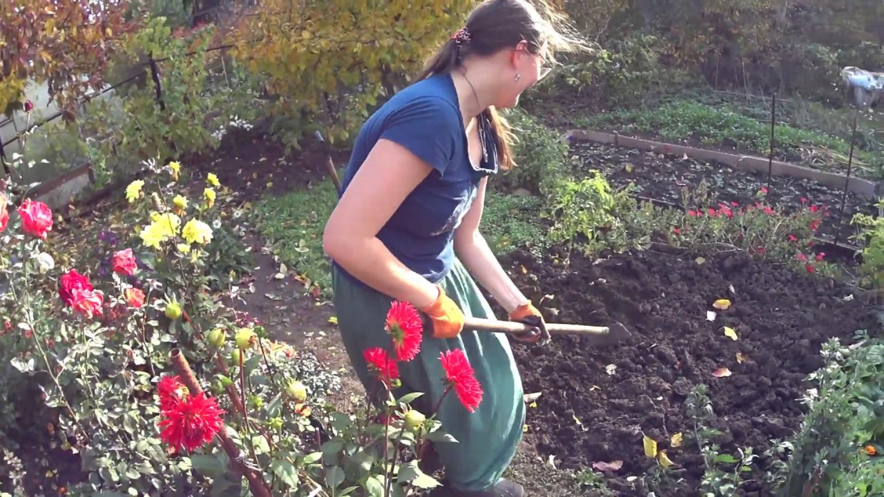 ДАЧА В УЩЕЛЬЕ НА БЕРЕГУ РЕКИ ещё И С РУЧЬЁМ  ПО СЕРЕДИНЕ