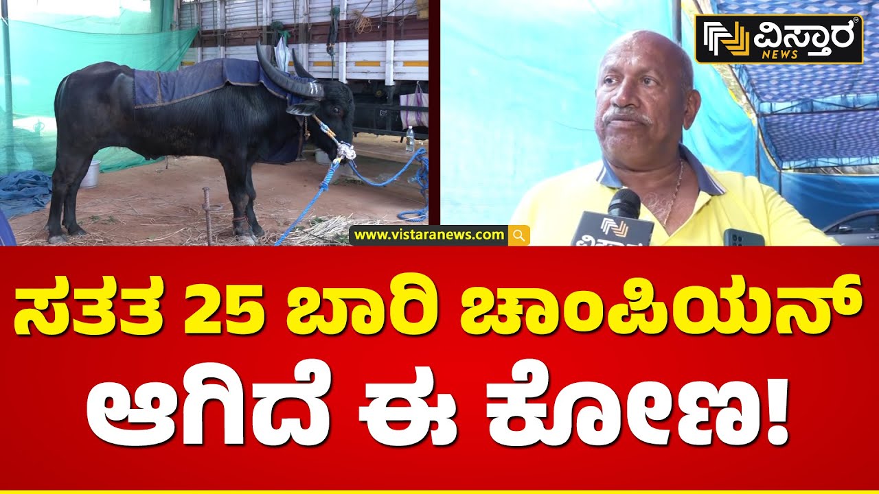 ಅರಮನೆ ಮೈದಾನದಲ್ಲಿ ಕೋಣಗಳದ್ದೇ ಕಾರುಬಾರು! | Champion Buffalo of Kambala Race | Vistara News