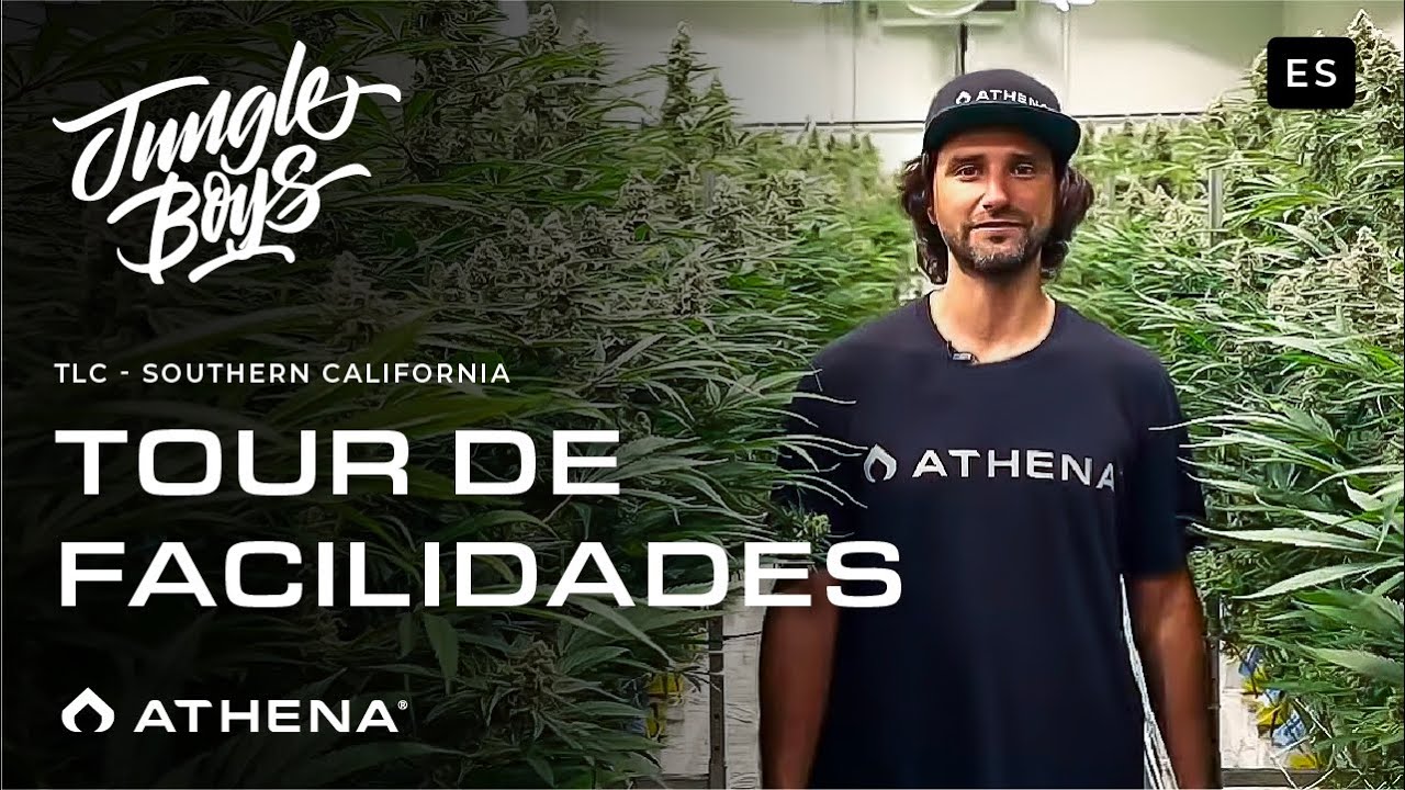 Jungle Boys x Athena Facility Tour (espa&ntilde;ol)