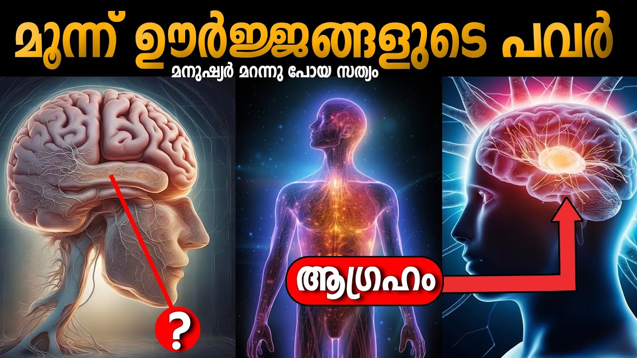 തീവ്ര  ആഗ്രഹം മാത്രം പോരാ  | ഇച്ഛാശക്തി ജ്ഞാനശക്തി ക്രിയാശക്തി സ്വരൂപം Willpower | LIFE CHANGING