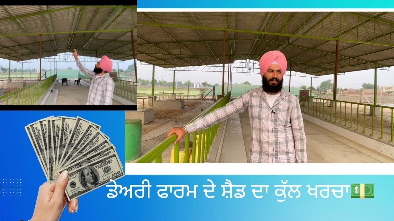 ਡੇਅਰੀ ਫਾਰਮ ਦੇ ਸ਼ੈਡ ਦਾ ਕੁੱਲ ਖਰਚਾ💵#dairyfarm #milk #agriculture #cow #dairy #dairyfarming #far #iron