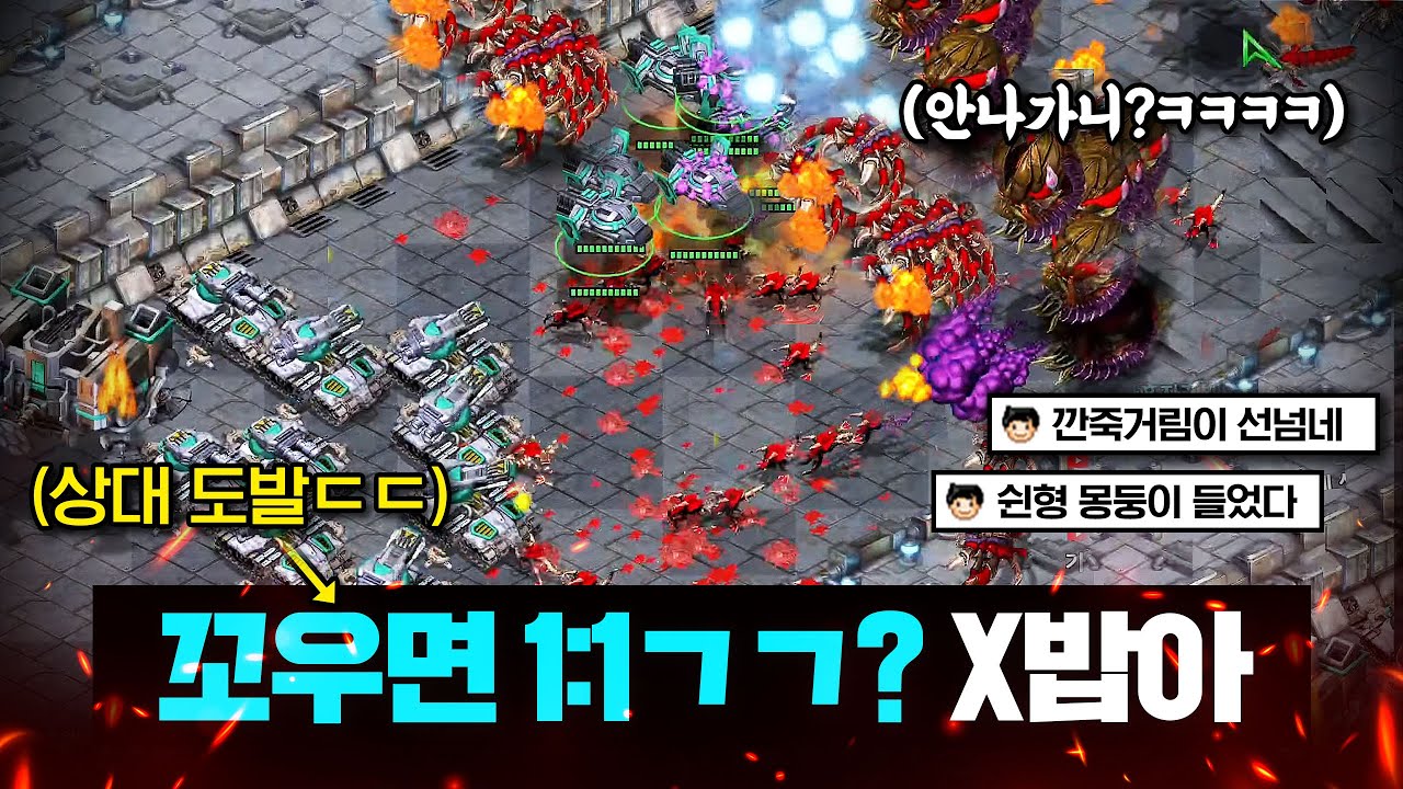도발러가 팀플에서 참교육 당하더니 