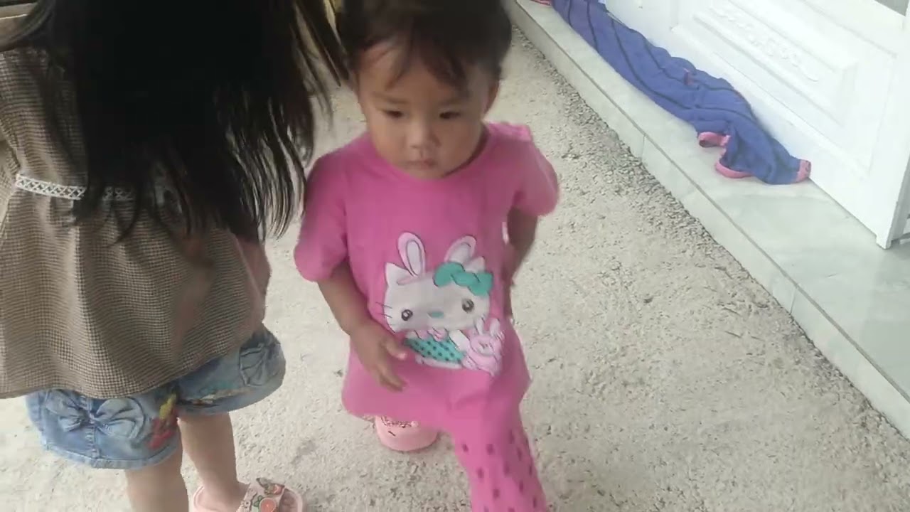 Mèo được đi qua nhà báo bao chơi 