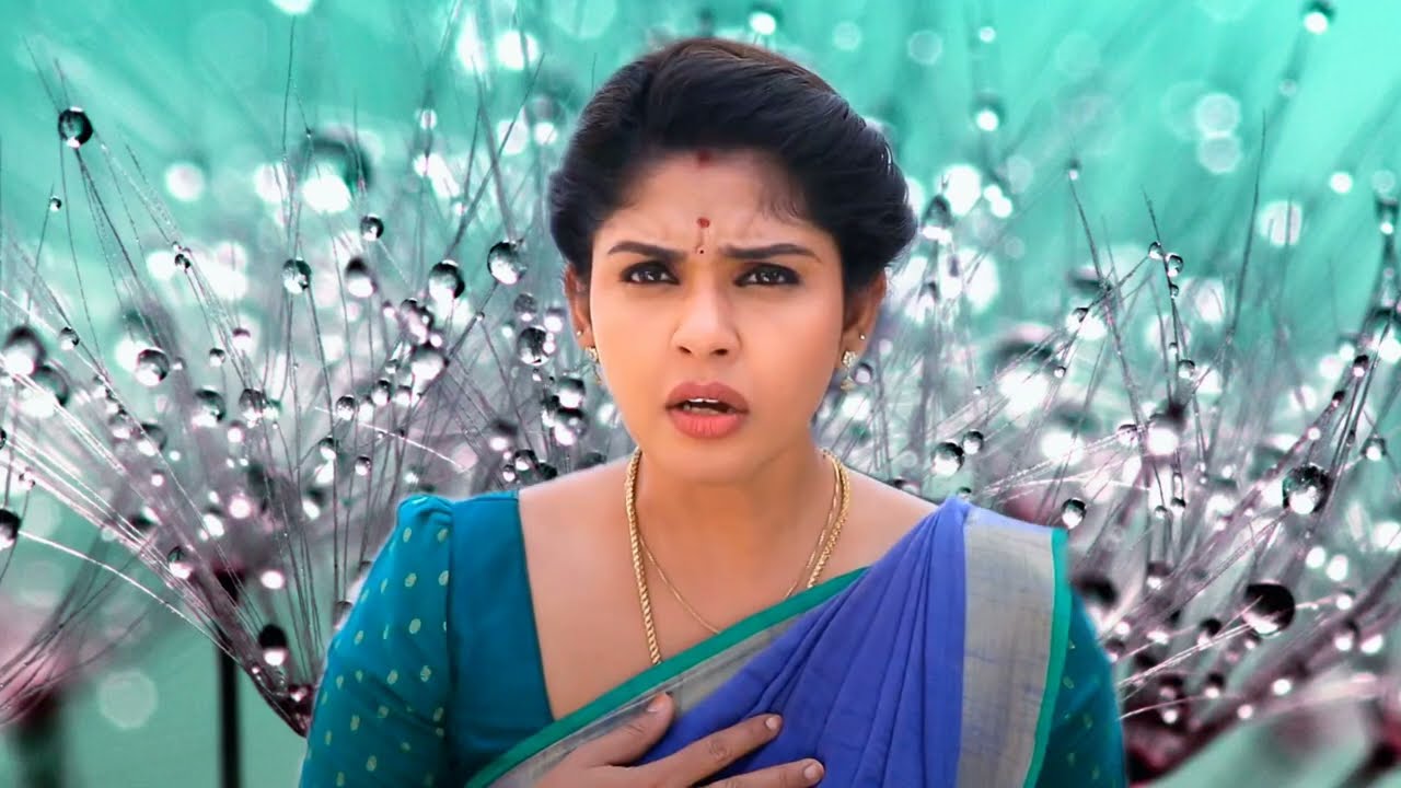 கோமதி ஆசையை நிறைவேற்றிய பாண்டியன் | Pandianstore serial upcoming episode review/ 05 Feb 2026
