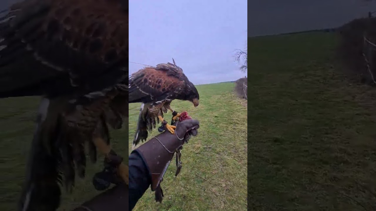 26 février 2024 