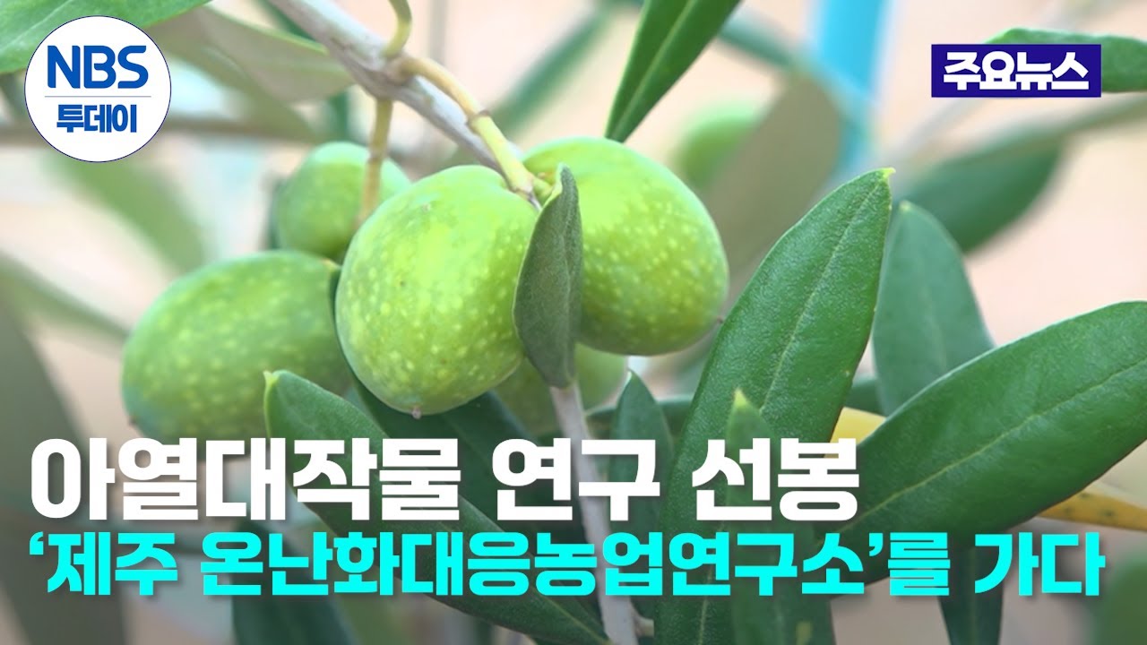 아열대작물 연구 선봉 &lsquo;제주 온난화대응농업연구소&rsquo;를 가다