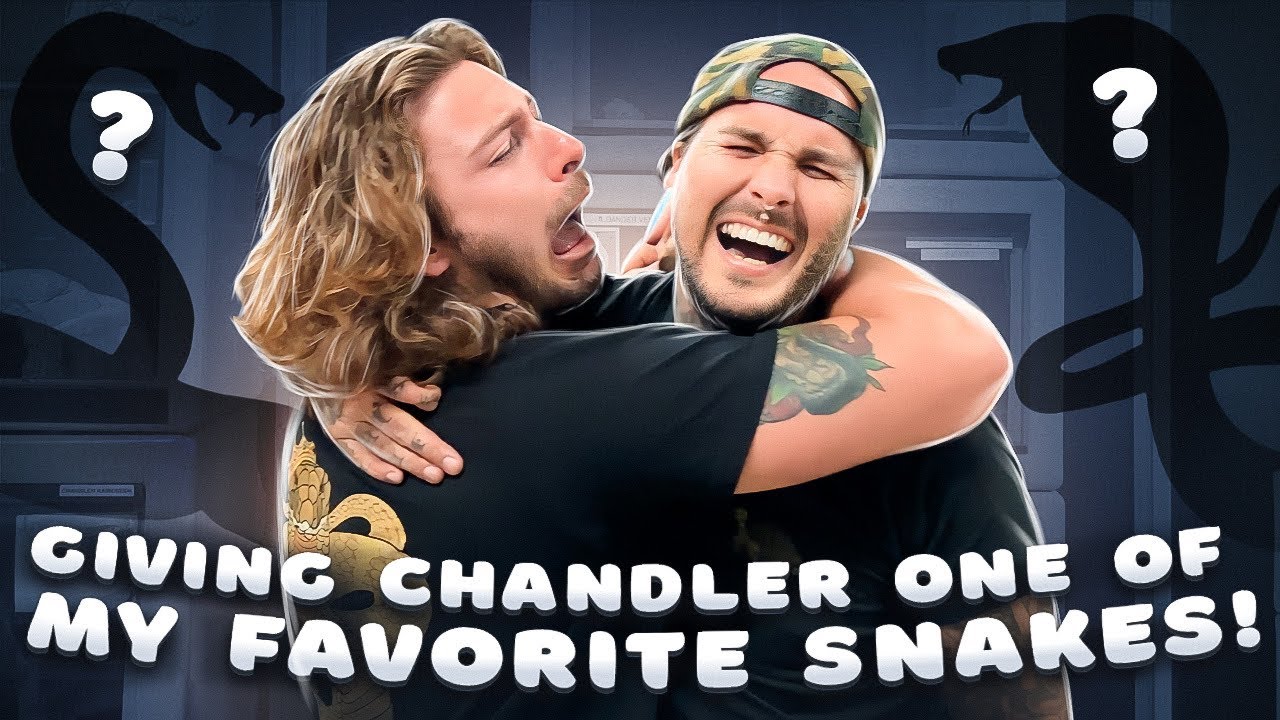 Giving one of my FAVORITE SNAKES to @ChandlersWildLife