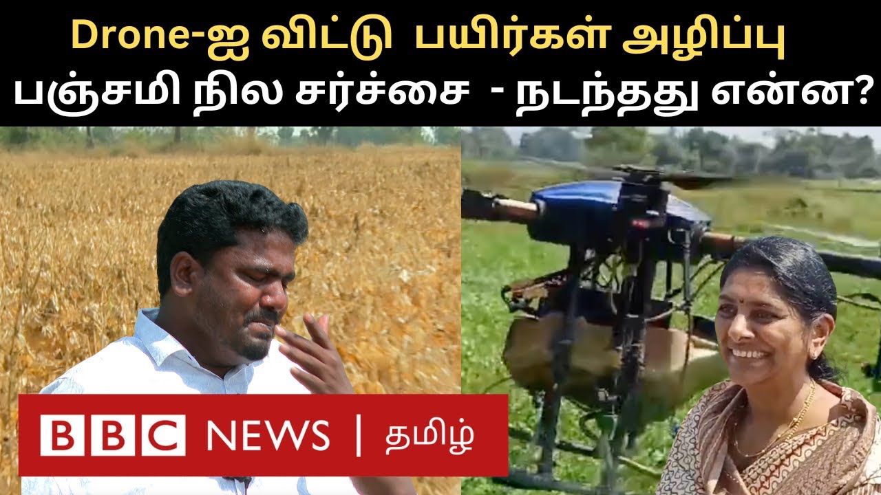 Tamil Nadu Dalit: கண்முன் பயிர்கள் நாசம்; வந்தவாசி பஞ்சமி நில சர்ச்சை - BBC Ground Report
