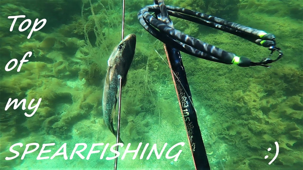 How to shoot fish with spear gun