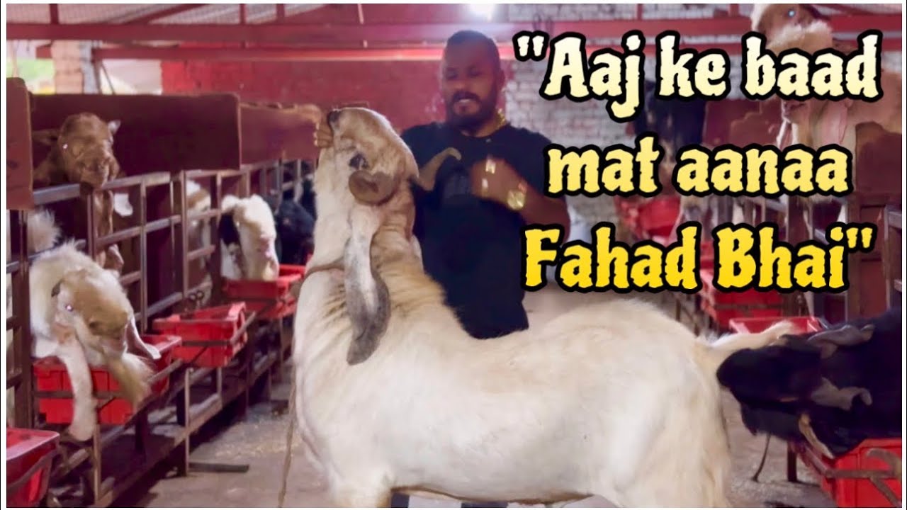 Good Bye MD Goat Farm | Bus Ho Gaya Har Bar Ki Kir Kir
