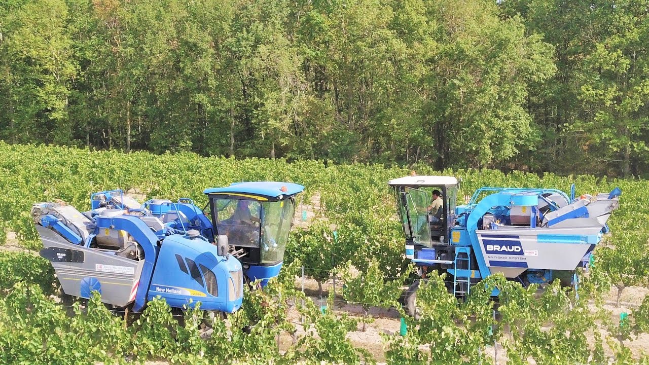 Vendange dans le vignoble Saint Pourcinois avec 2 machines New Holland et Braud ! 🍇