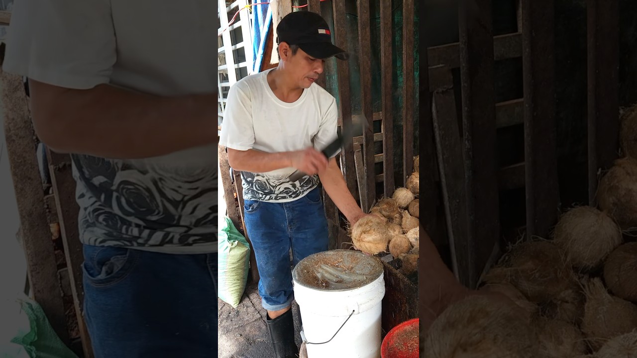 Vietnam's Coconut Cutting Master - Fruit Cutting Skills
