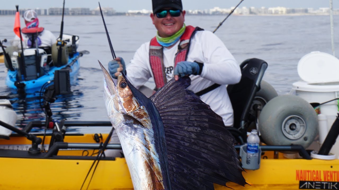 Kayak Fishing for Sailfish & Mahi Mahi Offshore | Field Trips Florida | Field Trip with Robert Field