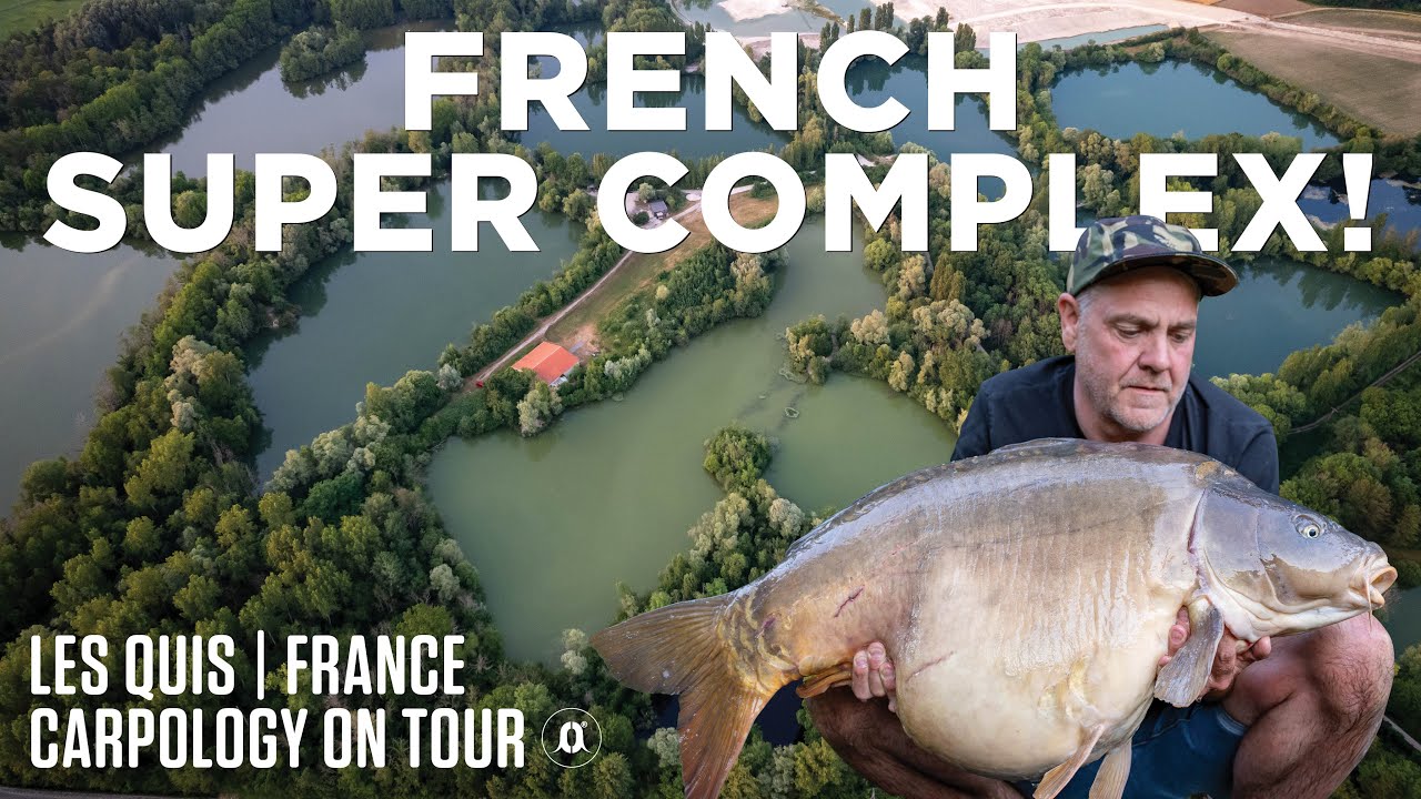 CARPOLOGY VISITS LES QUIS! | CARPology On Tour