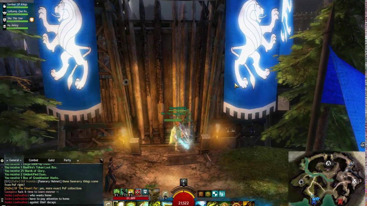 Guild Wars 2 - Xedes - Druid Ranked PvP S12 Plat1