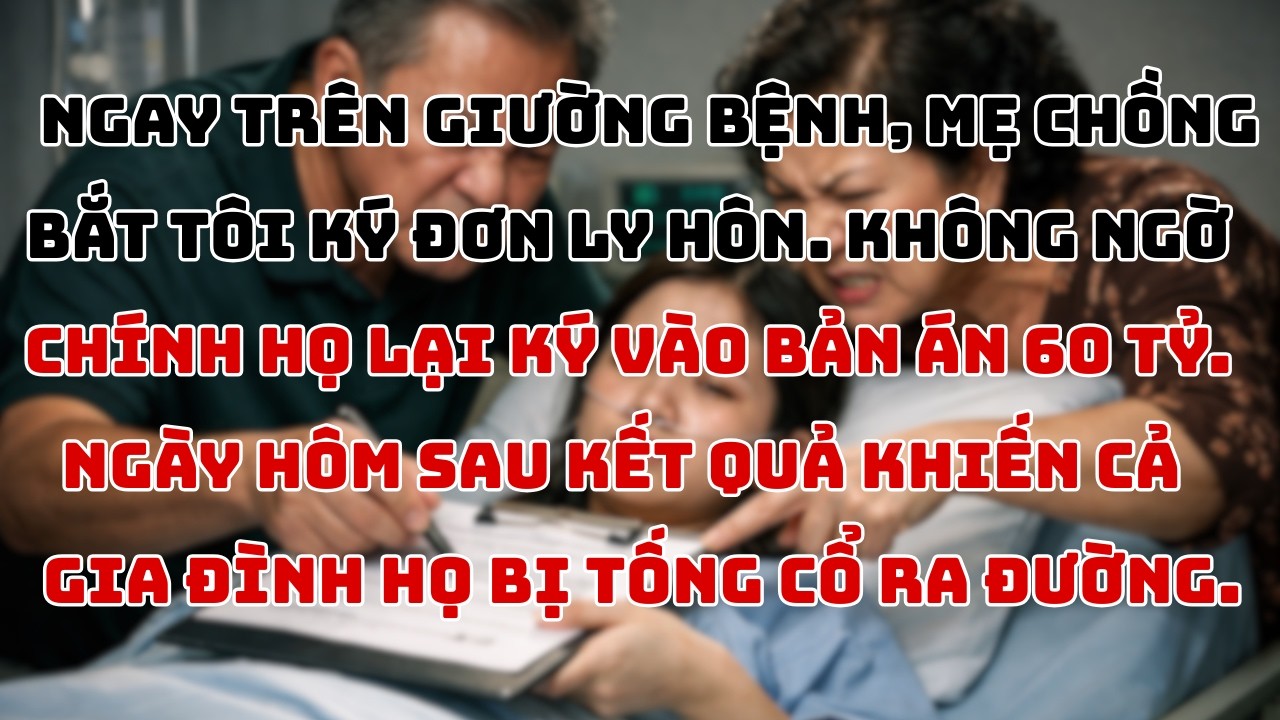 Mẹ Chồng Ép Con Dâu Ly Hôn Khi Đang Nằm Viện – Nhưng Kết Quả Khiến Cả Gia Đình Không Kịp Trở Tay