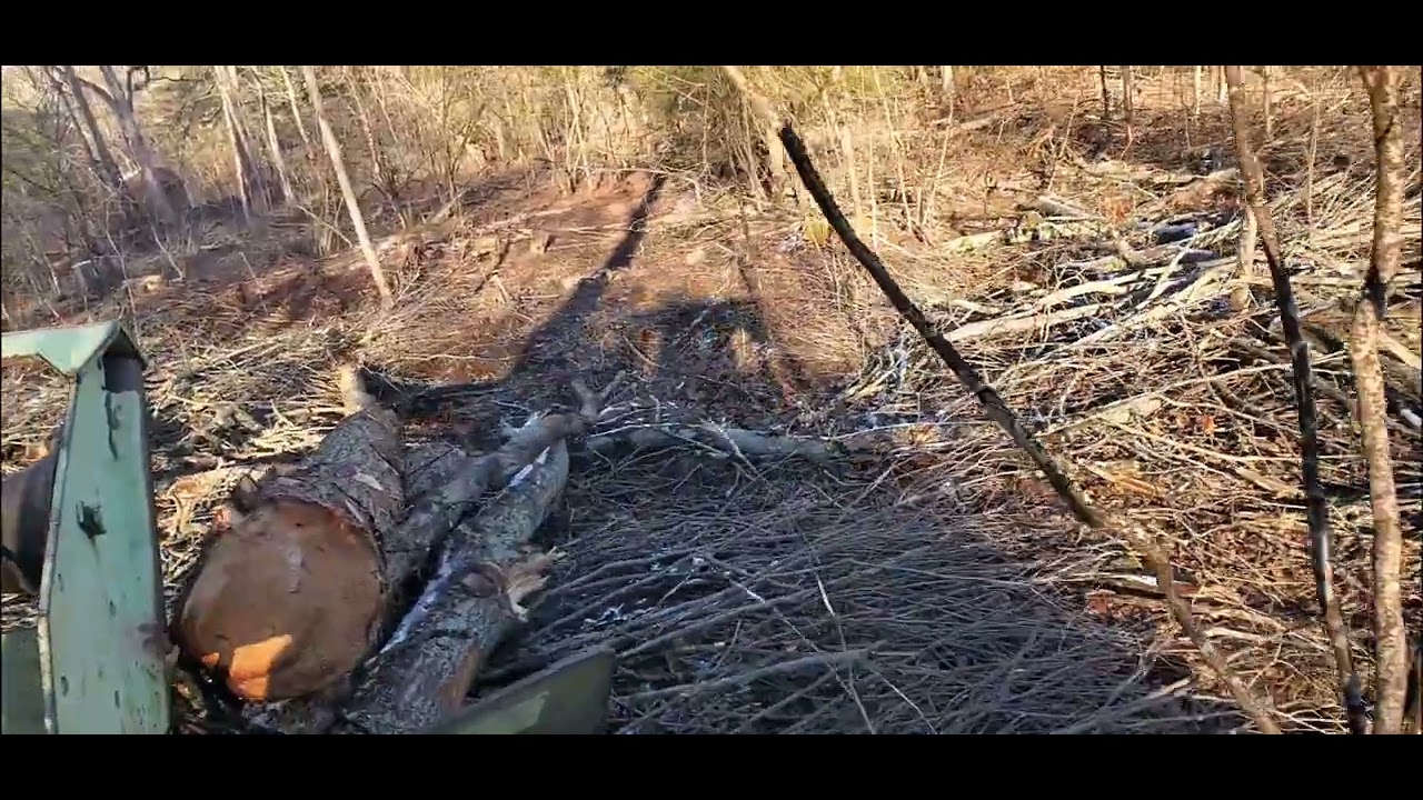 C6D Tree Farmer Skidding Logs