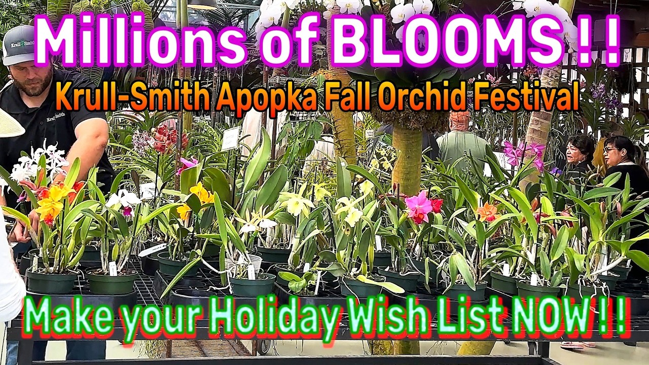 Krull-Smith Apopka Fall Orchid Festival | Compete Nursery & Vendor Review #flowers #orchid