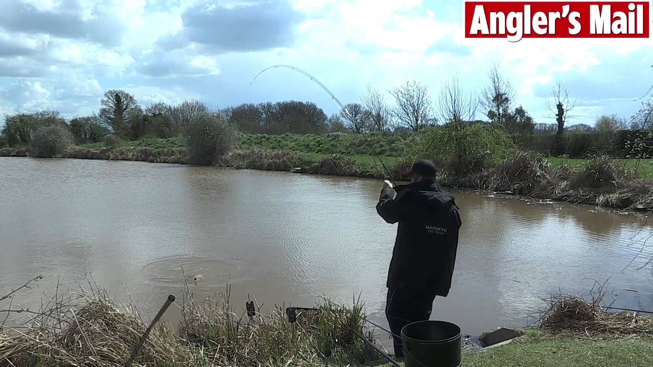MARUKYU'S INCREDIBLE CREDENCE BOILIES