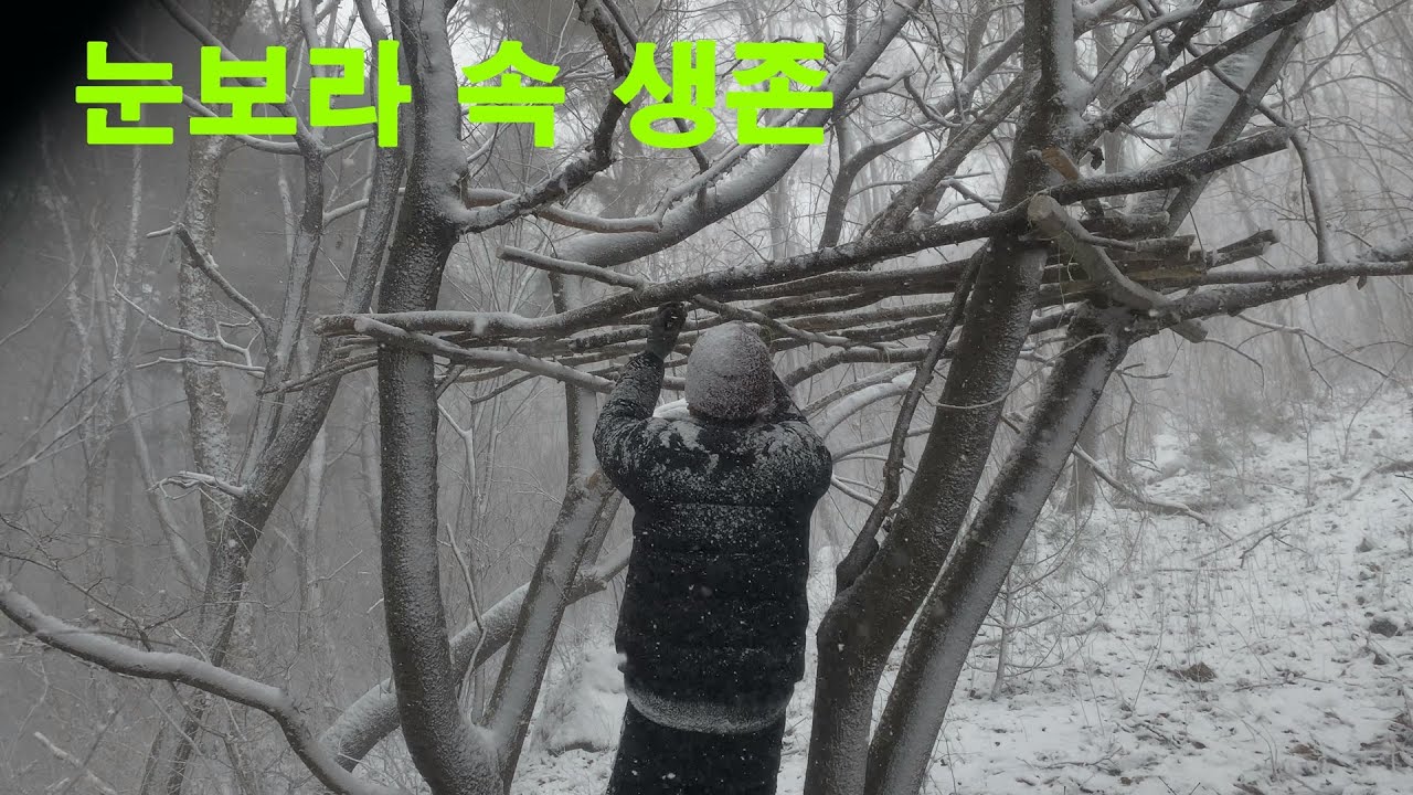 푹풍 눈보라 속 나무위 설산 동계 비박. 영하 -17도 눈보라 속 