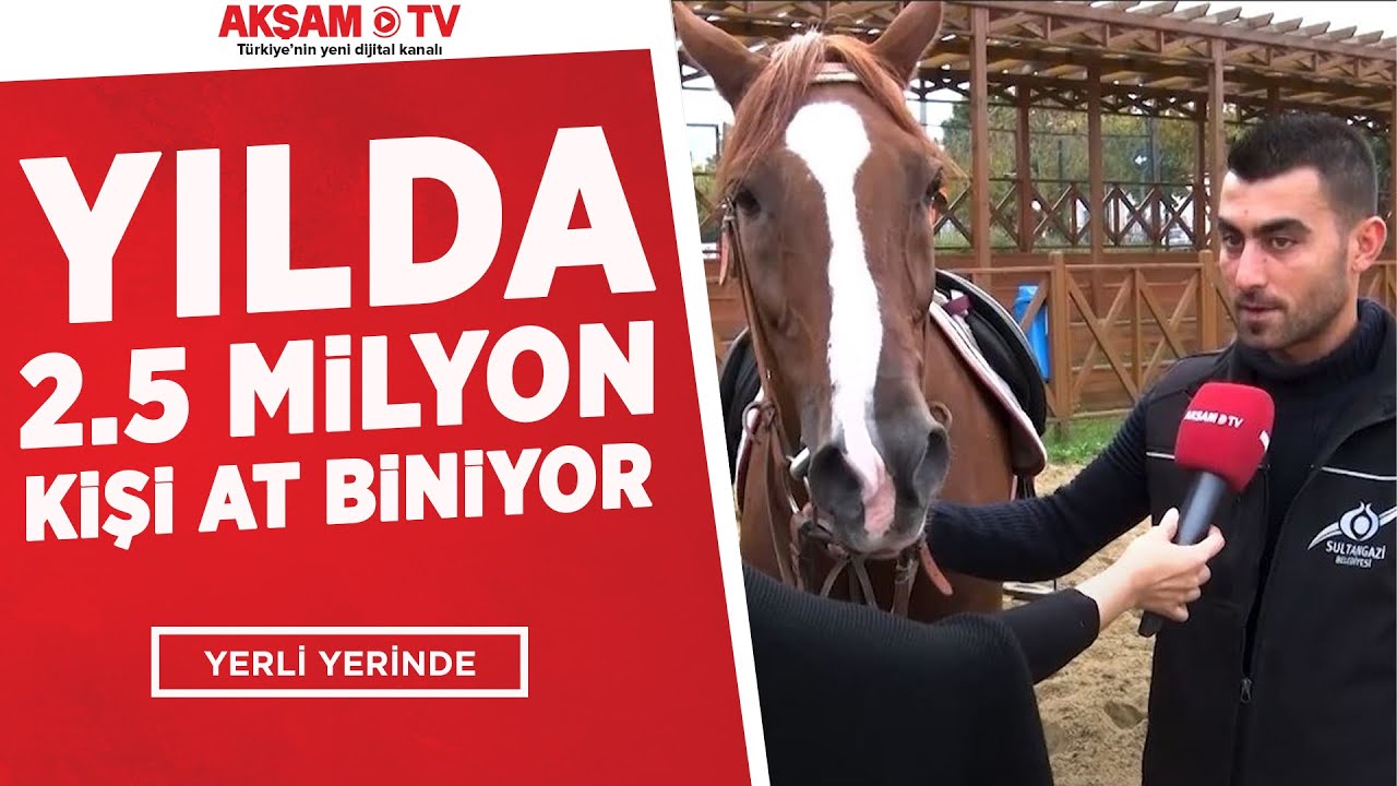YILDA 2.5 MİLYON KİŞİ AT BİNİYOR