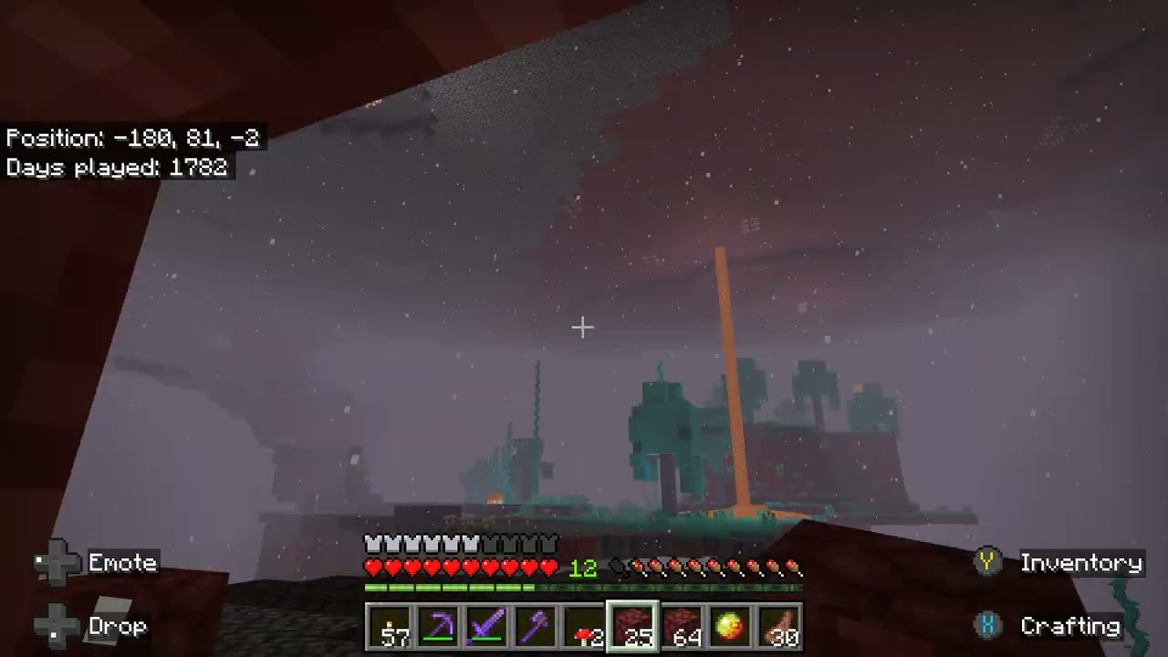 Minecraft 2026 01 13   21 42 17 03