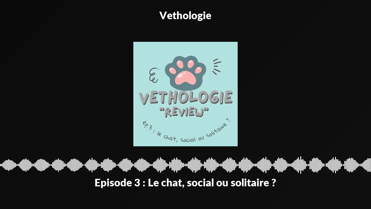 Episode 3 : Le chat, social ou solitaire ?