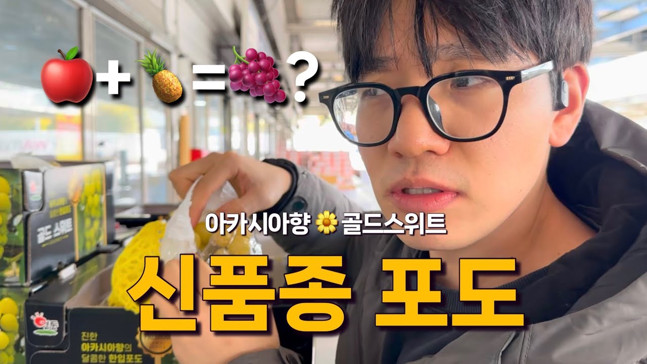 포도에서 아카시아향이??🌼새로운 신품종 포도 골드 스위트