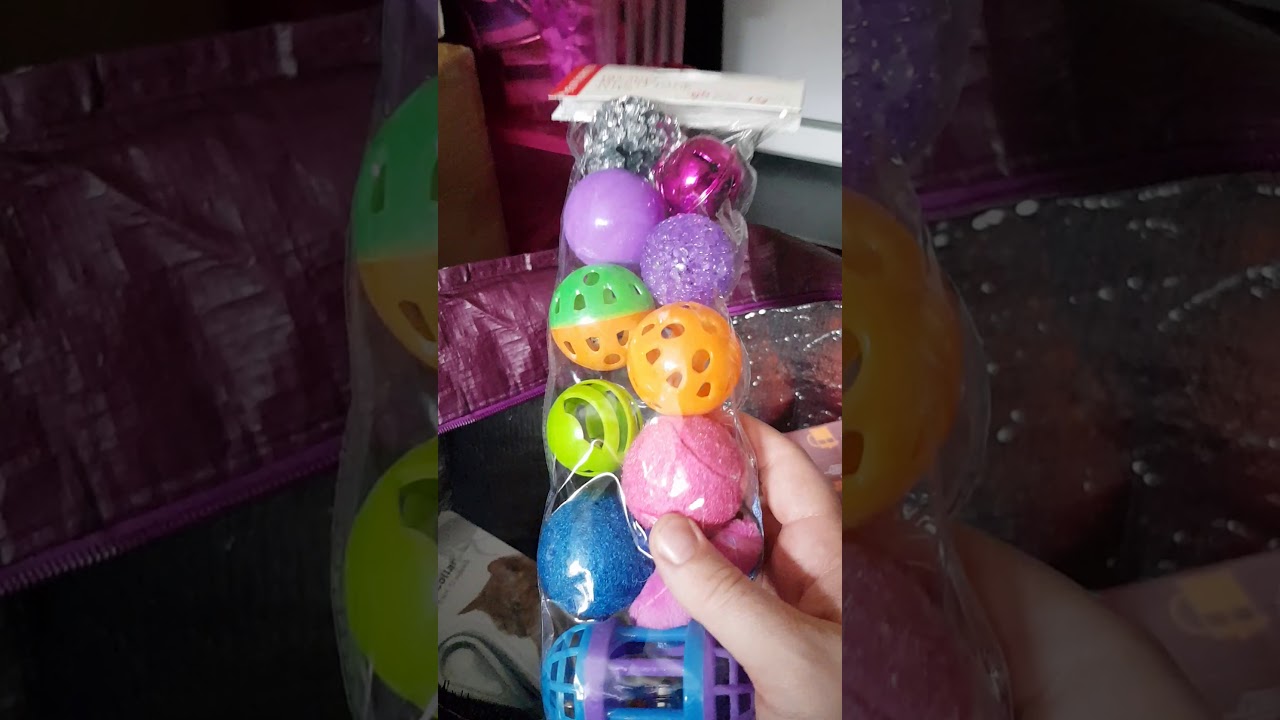 Poundland sainsburys pets at home hobbycraft haul