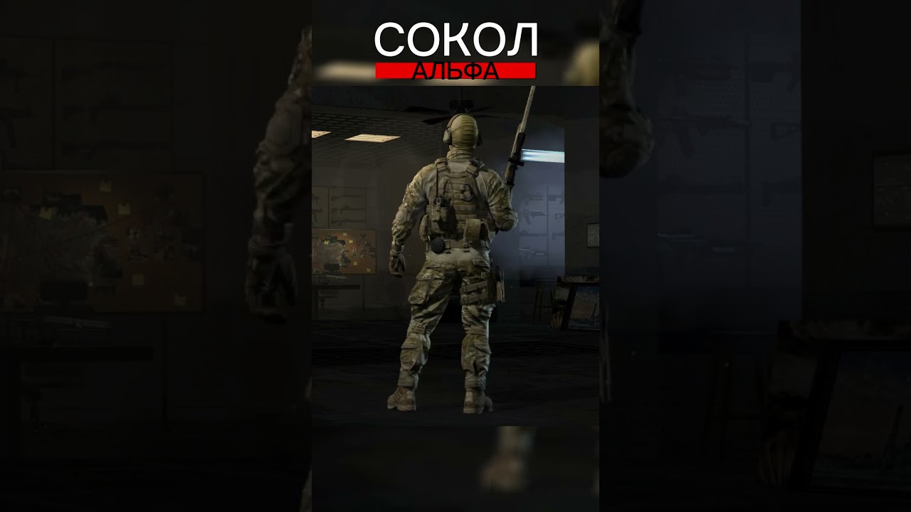 АЛЬФА ТРАВНИК И СОКОЛ #shortsvideo #shorts #sigma #калибр #caliber