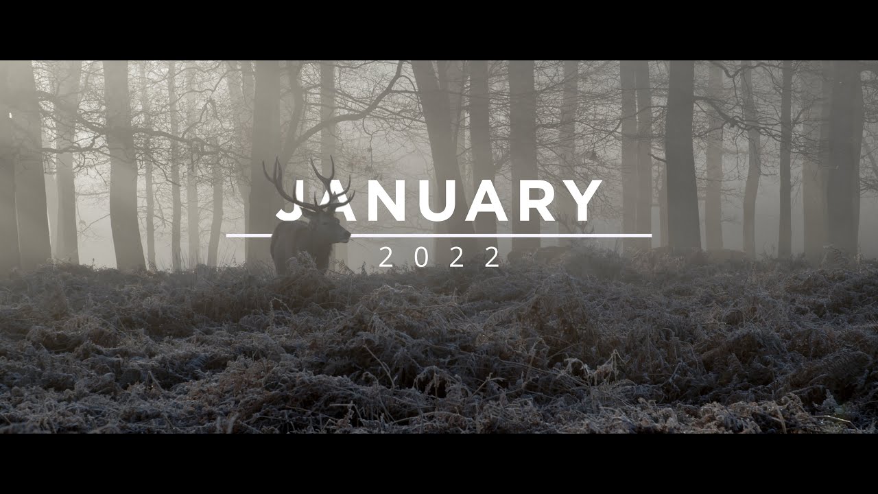 Moments of January 2022 | BMPCC4K + Canon EF 24-105mm F4