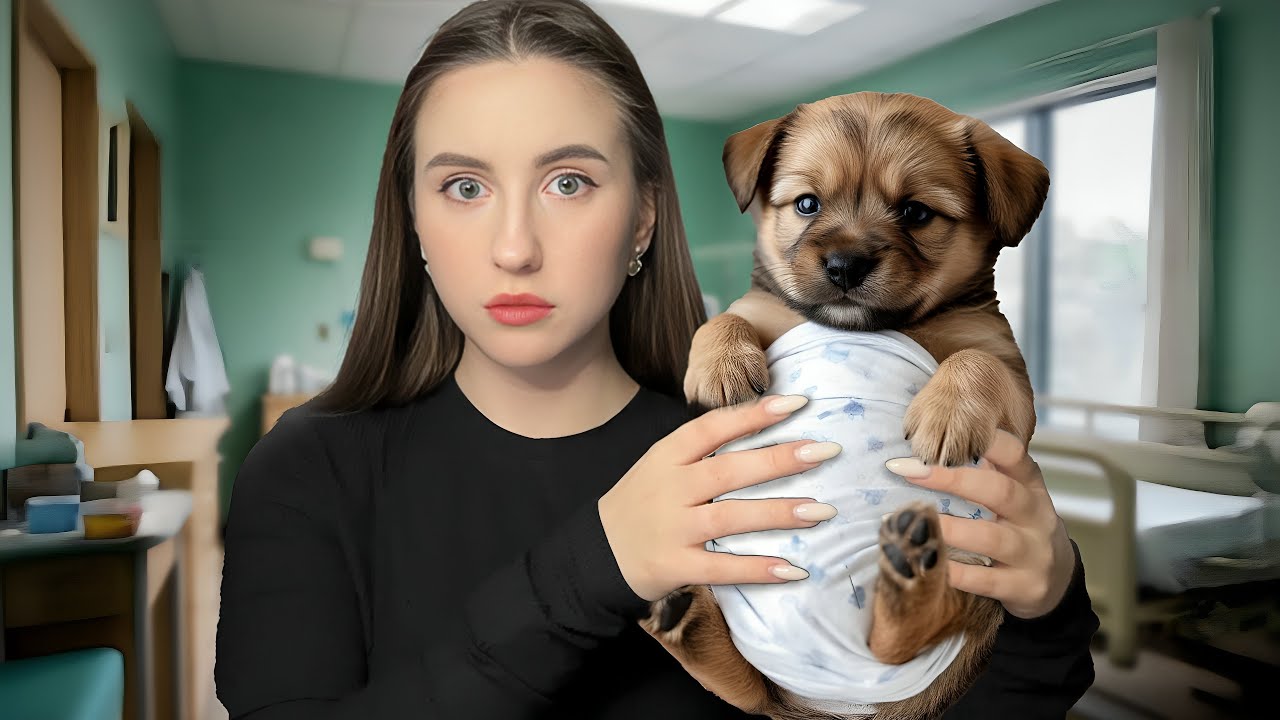 Почему Южной Кореи скоро не станет?