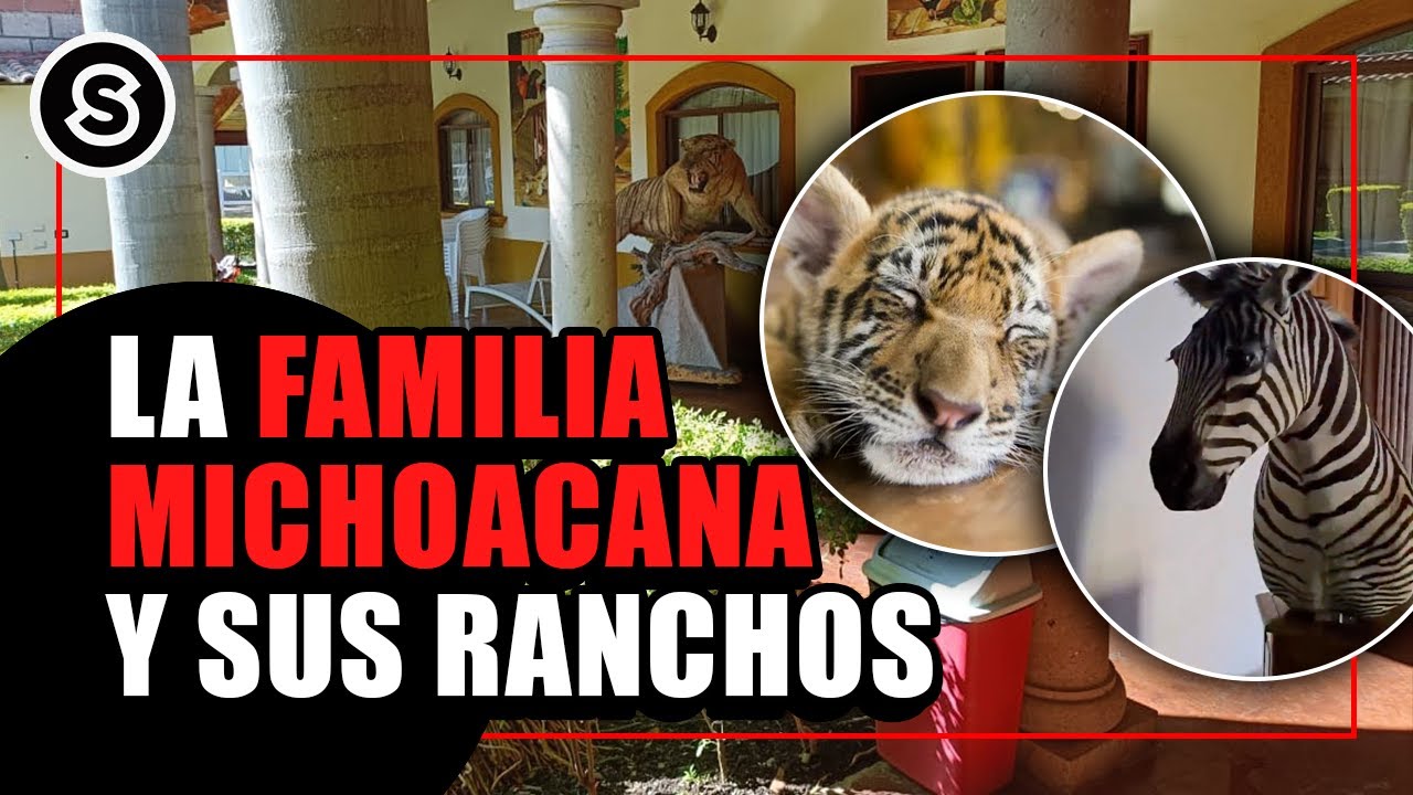 Aseguran ranchos y casas de seguridad de la Familia Michoacana en el Estado de México | REPORTAJE