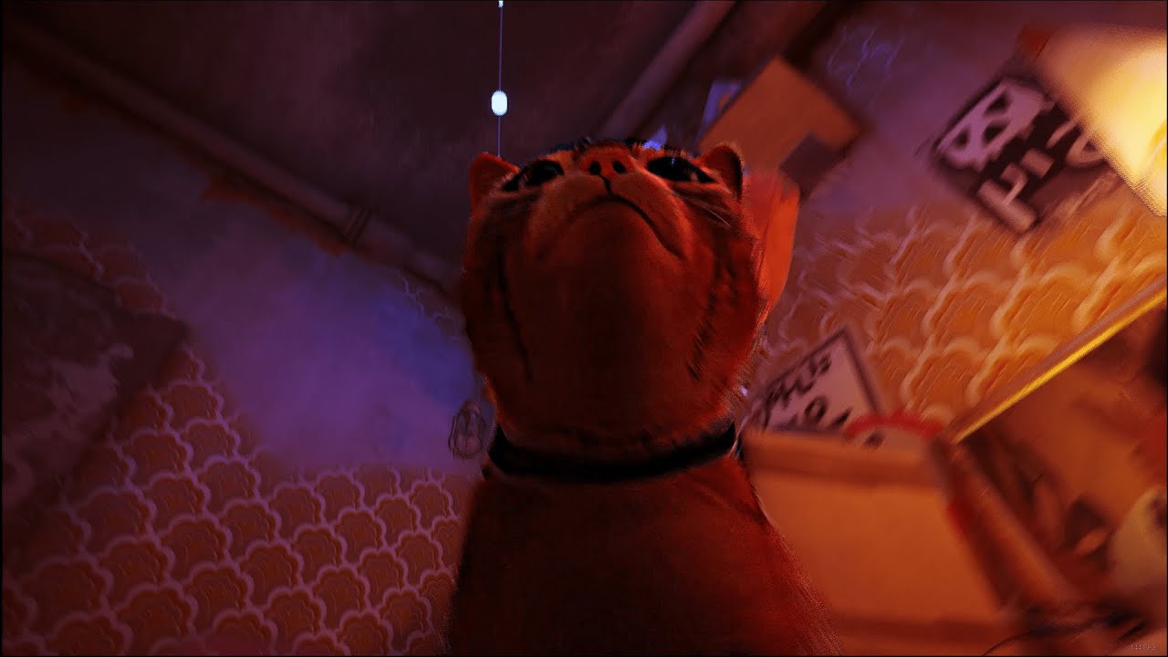 Stray - Part 3