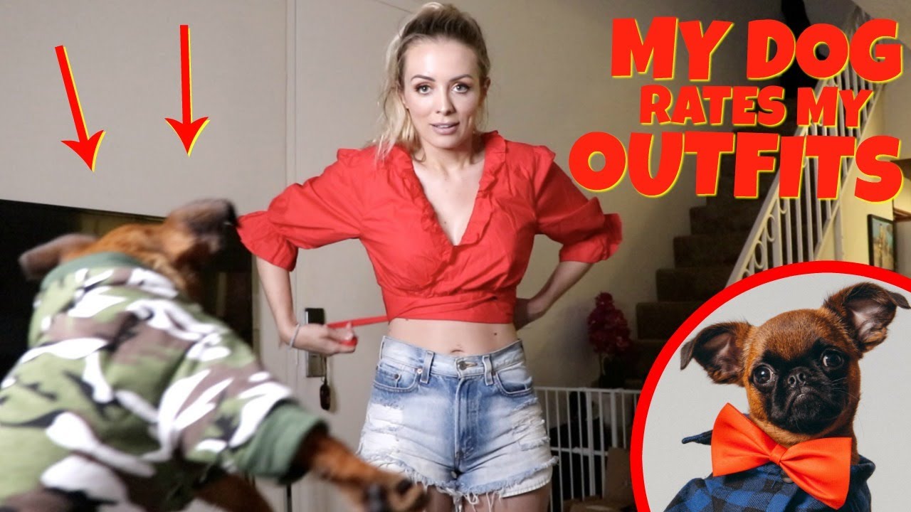 My Puppy Rates My Outfits! Revolve Clothing Haul | Annelise Jr