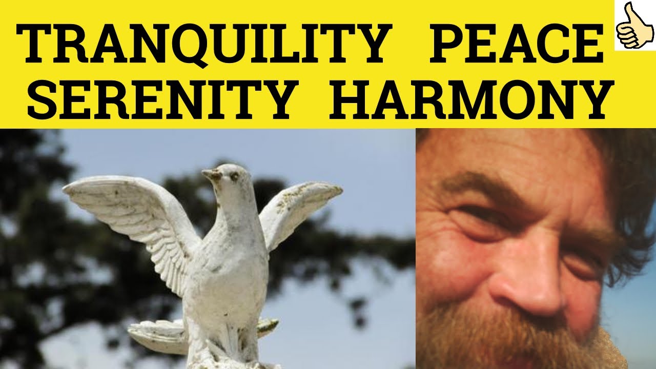 🔵 Peace Harmony Serenity Tranquility - Peaceful Harmonious Serene Tranquil - Meaning and Examples