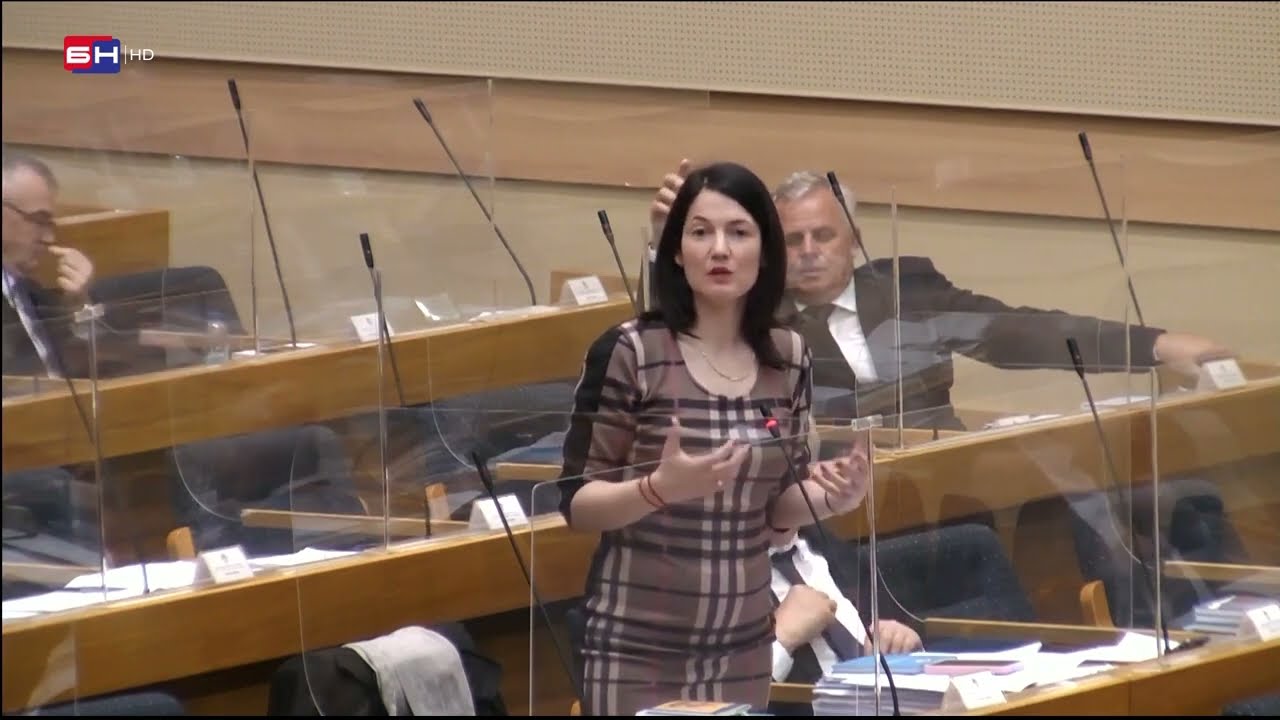 RASPRAVA U NSRS  Žunić, Zora Vidović   Trivić, Stanić &Scaron;mitova upotreba Bonskih ovla&scaron;tenja