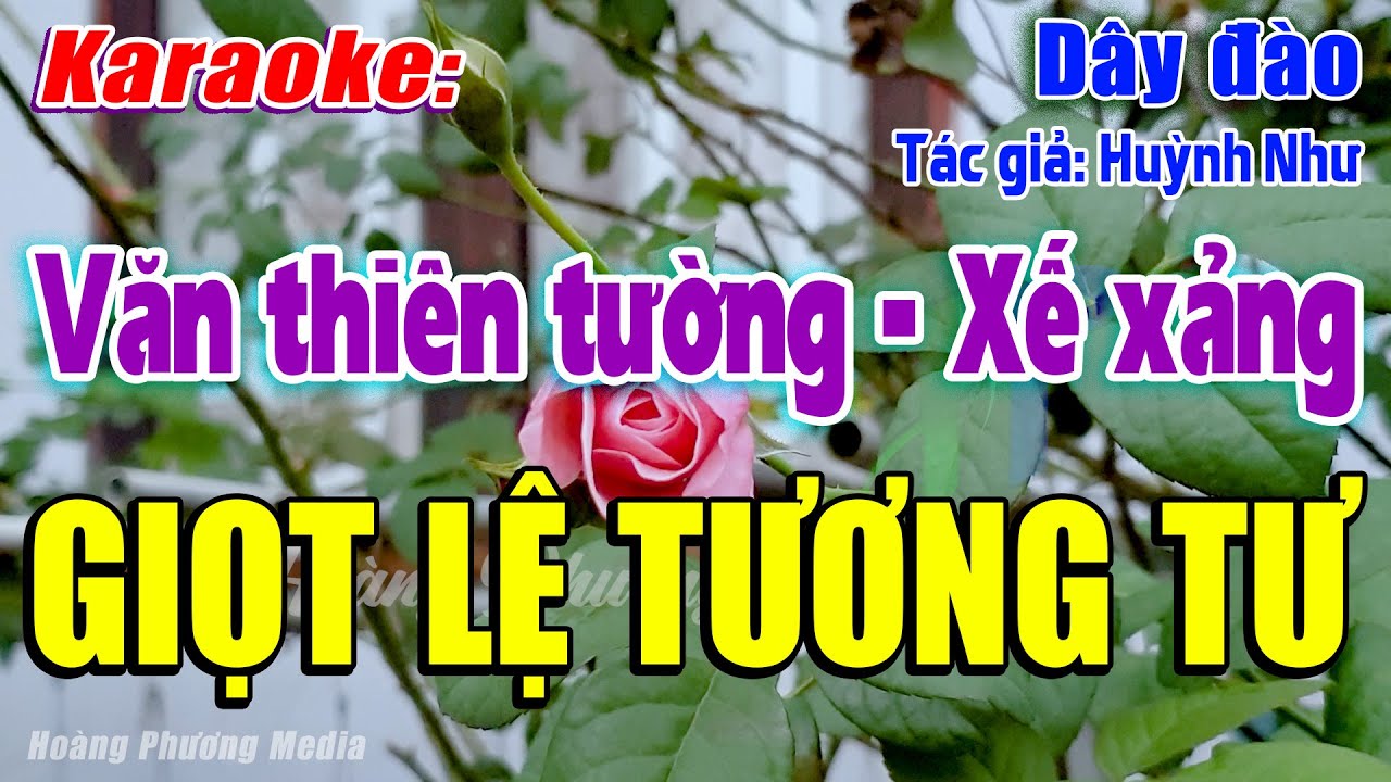 Karaoke Văn Thiên Tường qua Xế Xảng (Dây Đào) | Giọt Lệ Tương Tư, Beat Dở, Mùi - Hoàng Phương Media