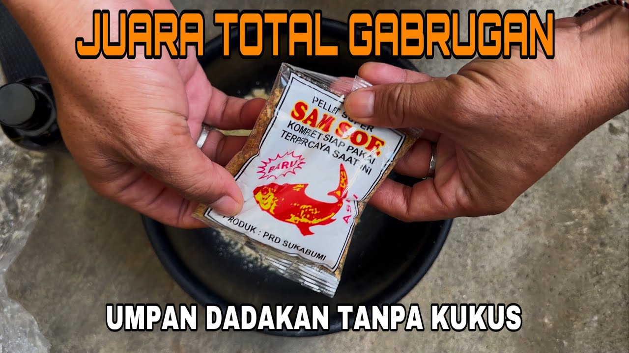 Juara Total Pakai Umpan Dekoy Campur Pelet Samsoe Makin Gacor