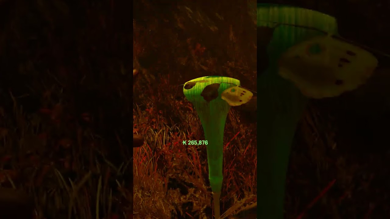 Liberation of Kyrat Far Cry 4 2024 #fc4 #openworldfps #farcry4 1