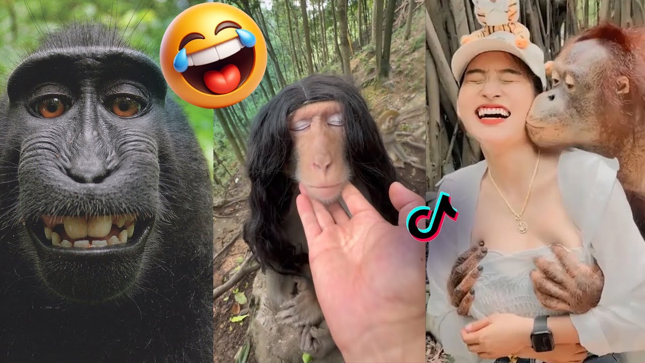 Try Not to Laugh 😂 Crazy Monkey Fails & Funny Moments
