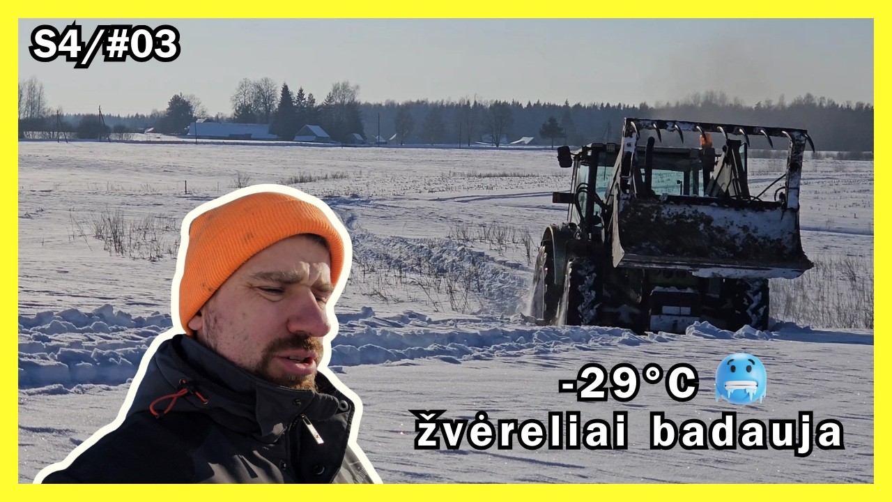 ukis.zemaitija/s4#3 šaltis - 29c žveriukų badas 