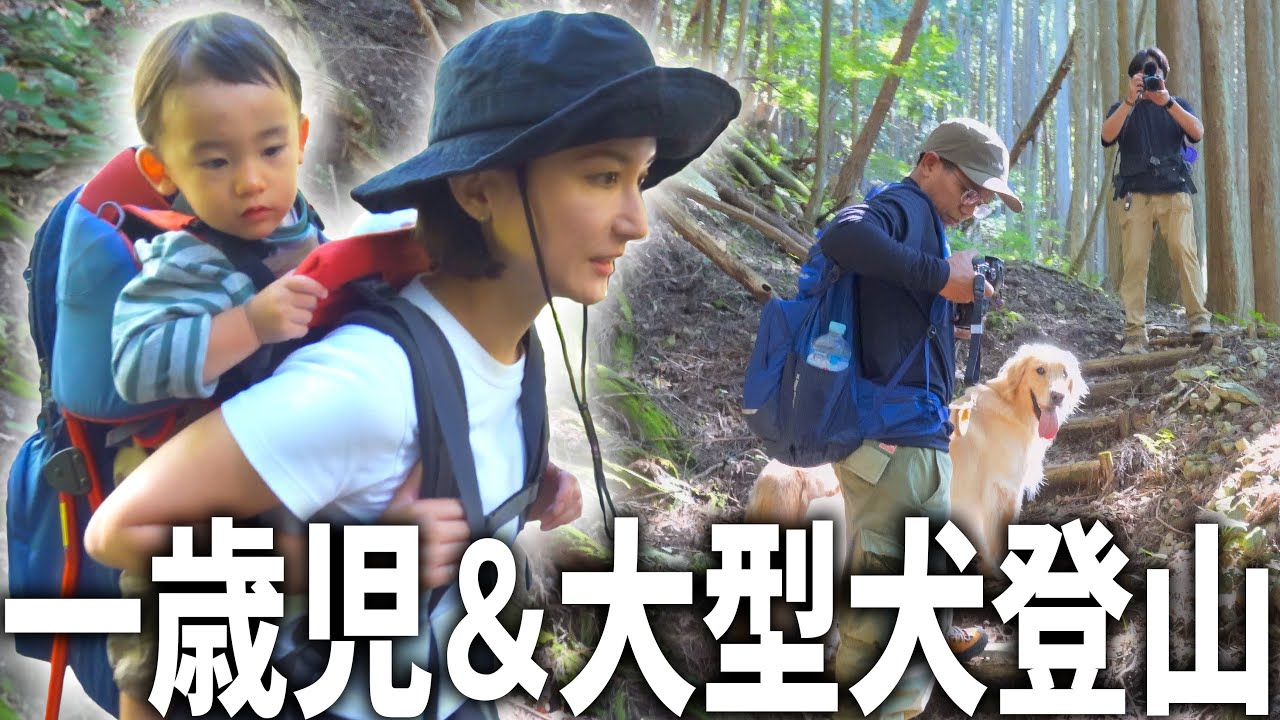 1歳児背負って3年ぶりに登山したらヤバ過ぎたww