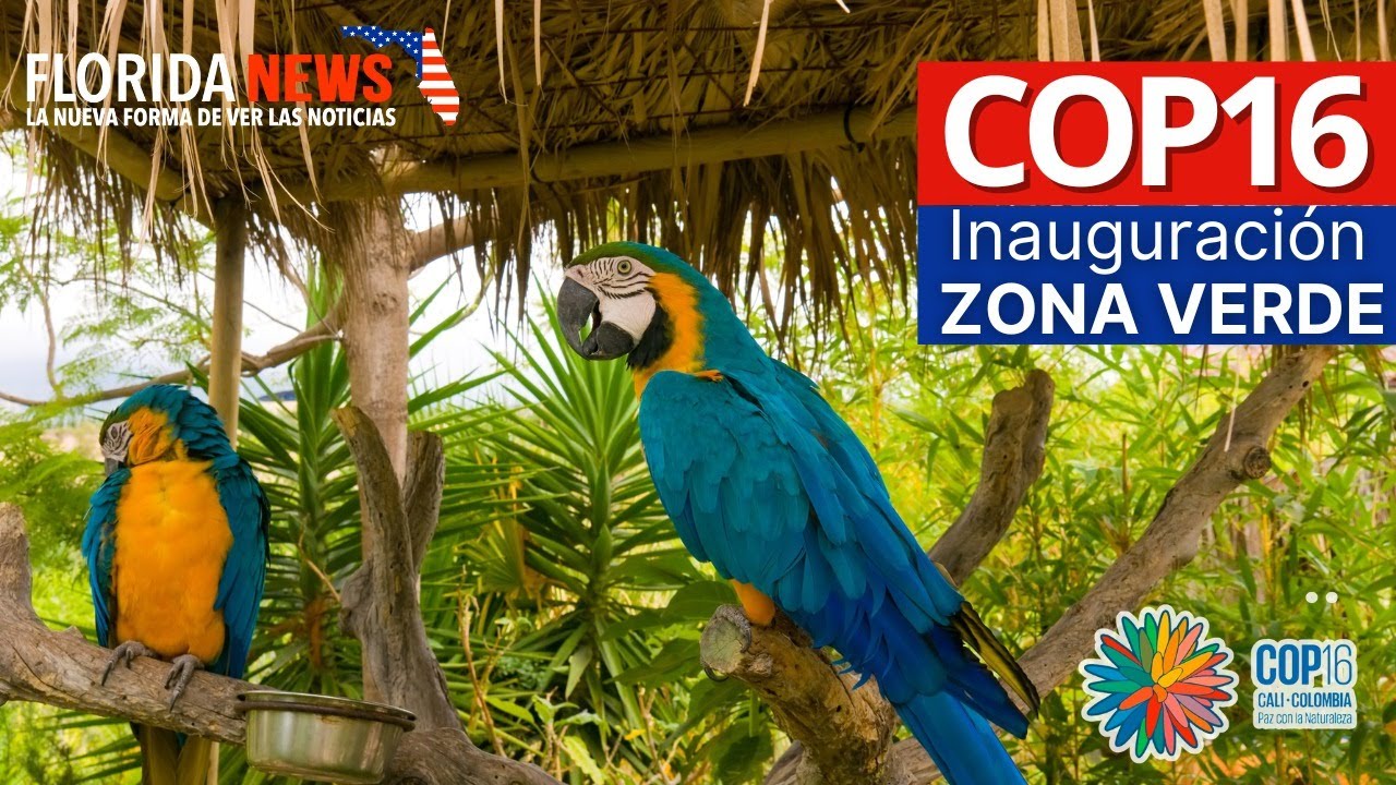¡EN VIVO! COP16 en Cali: Inauguración ZONA VERDE! 🦋🌿
