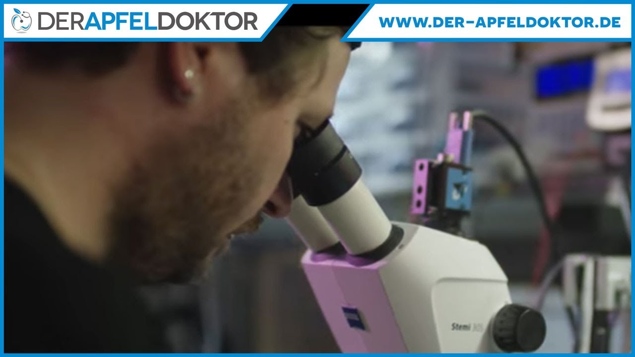 APFELDOKTOR IMAGEFILM - SO REPARIEREN WIR - REINSCHAUEN