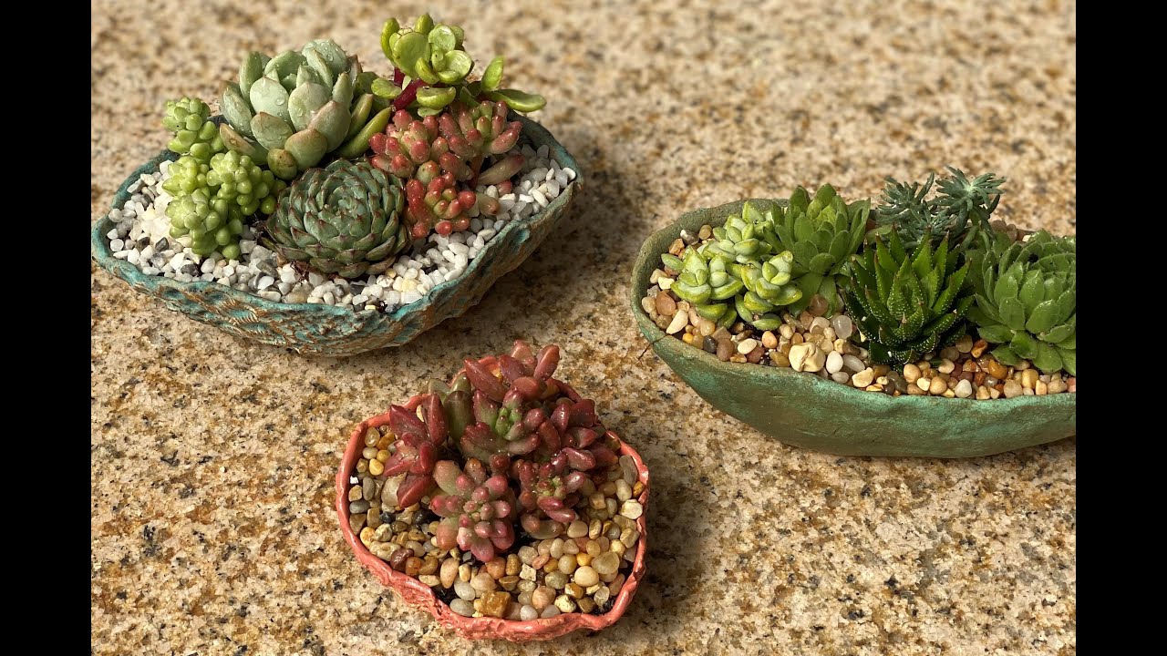 How to make succulent container gardens (pretty handmade shallow pots with colorful succulents)