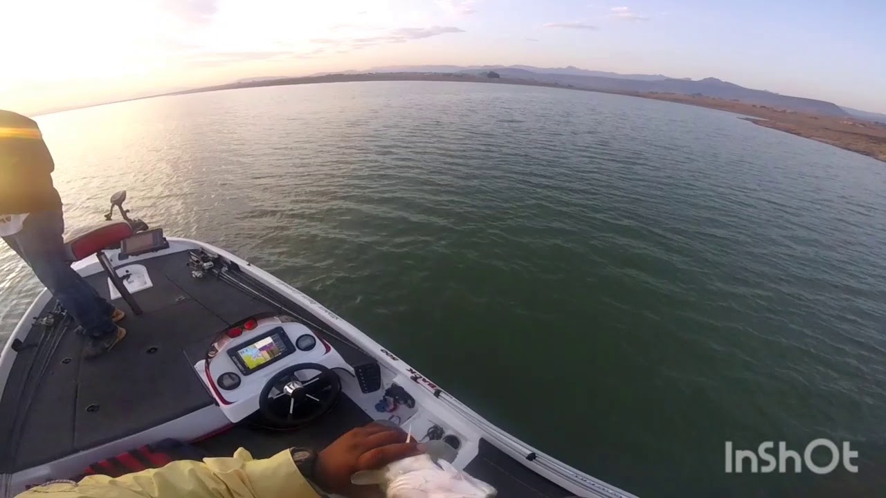 Cranking Ledges with sq bill