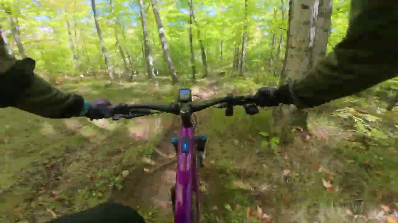 Marquette MTB - Flow