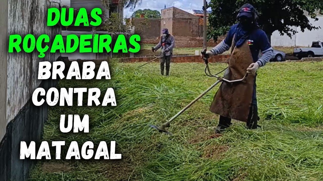 Roçadeiras Brutas Contra Um Matagal Brabo   Quem Venceu   Dia Dia Do Jardineiro