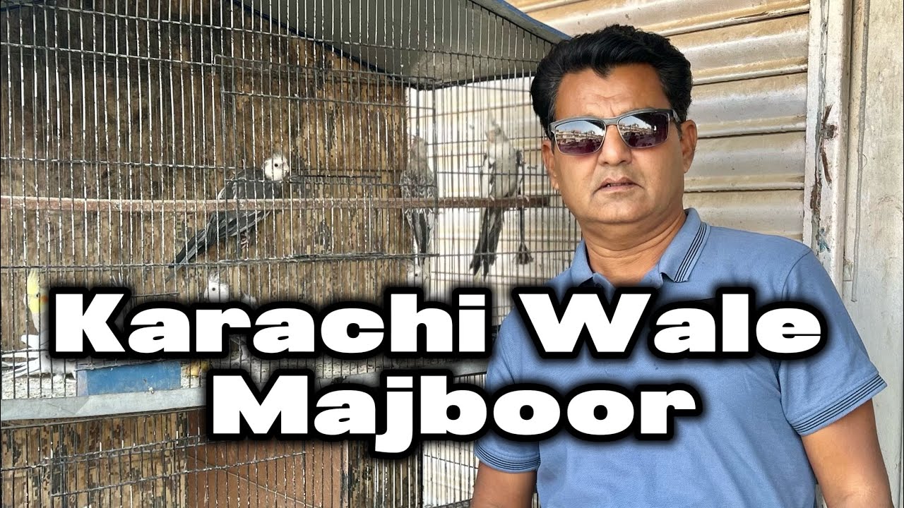 Karachi Wale Majboor? | Parinda Party & Others | 20/11/25 | North Karachi